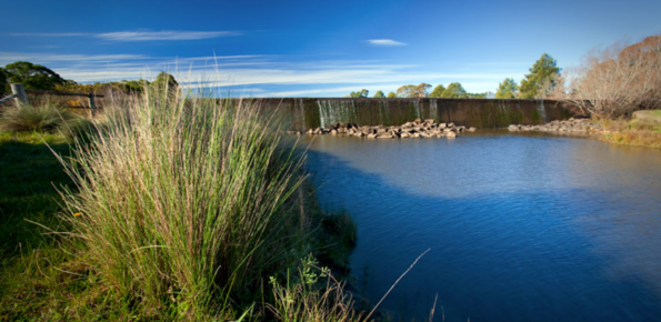 Cecil Hoskins Nature Reserve